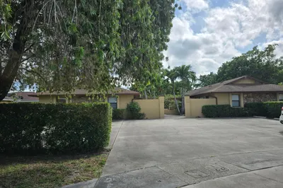 1155 White Pine Pine #1155 1