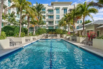 City palms - pool 1