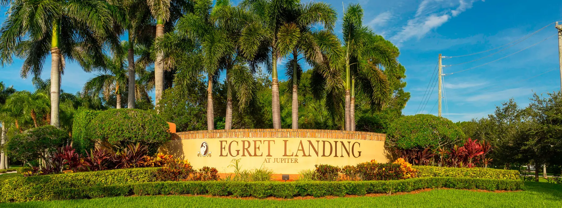 Echo Sells Egret Landing