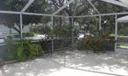 8004 Chapman Oak Court Photo
