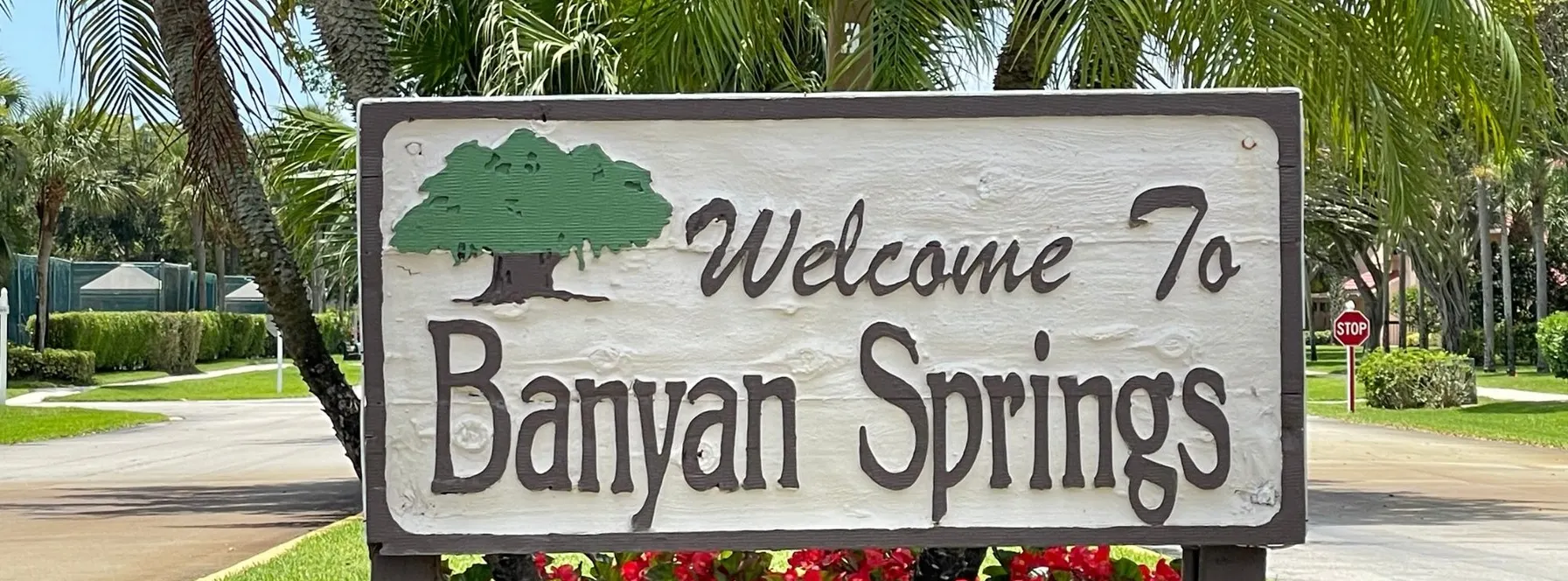 Homes Sold By Jeff Lichtenstein in Banyan Springs