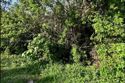 N/a San Diego Ave 1