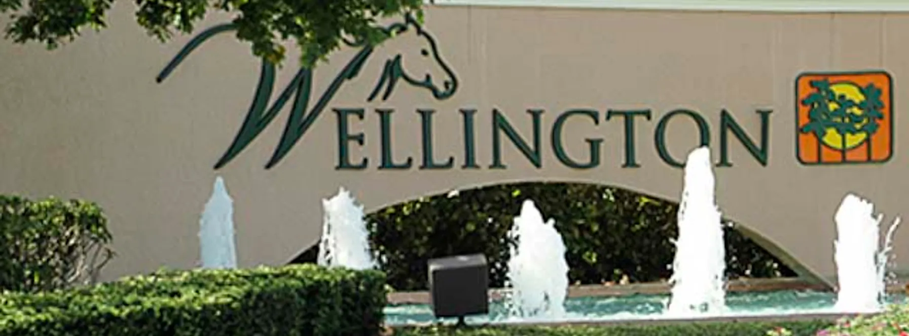 Best Real Estate Agent in Wellington, Florida