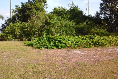 Partially cleared