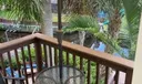 765 SW Rustic Circle Photo