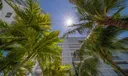 910 West Ave #1206 Photo