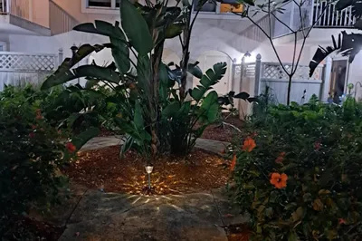 Building at Night