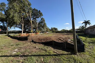 Yard