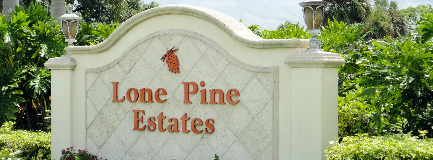 Homes Sold By Jeff Lichtenstein in Lone Pine Estates