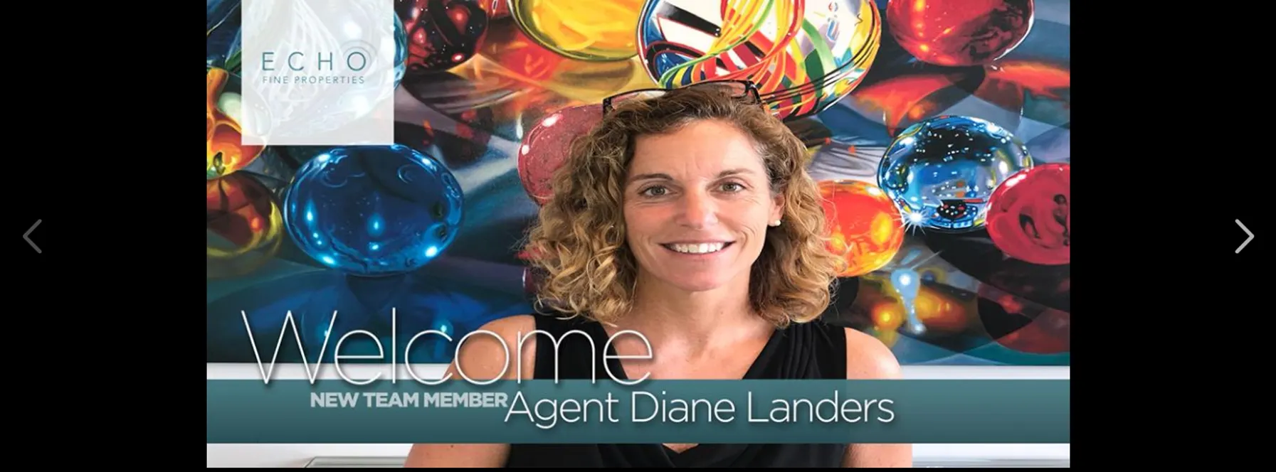 New Echo Agent!