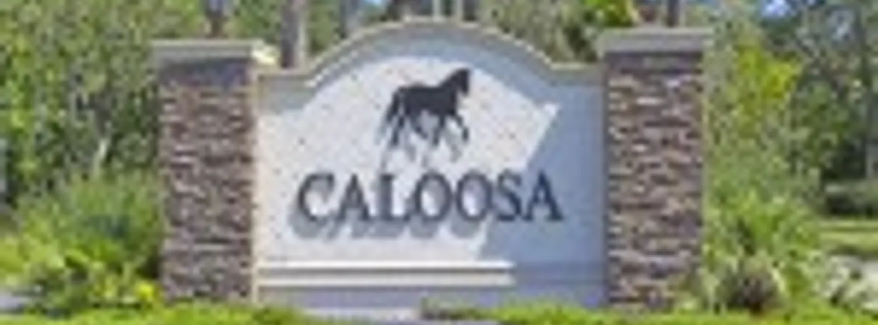 Caloosa | An Equestrian’s Dream | Jeff Lichtenstein
