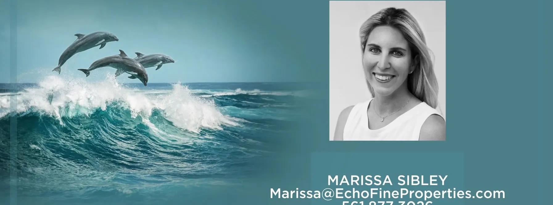GETTING TO KNOW MARISSA SIBLEY!