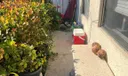 5090 Sanctuary Way #A Photo