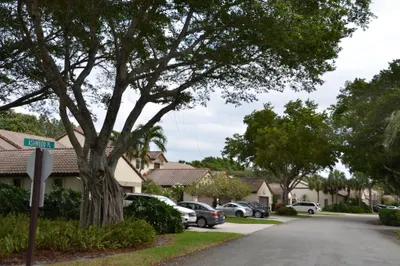 441 Ashwood Place 1