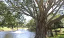 1911 19th Lane Photo