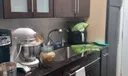1250 E Sample Road #307 Photo