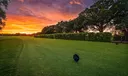 369 Eagle Drive Photo