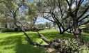 1915 Lavers Circle E #E101 Photo