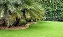 Turf