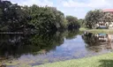 605 S Pine Island Rd #302A Photo