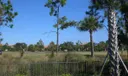 142 Viera Drive Photo