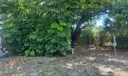 5704 Elmwood Street Photo
