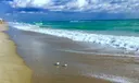 495 Ocean Blvd Photo