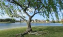 9727 Hammocks Blvd #101D Photo