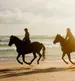 Equestrian Homes & Communities in Martin County