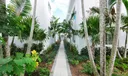643 Jefferson Ave #6 Photo