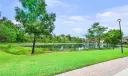 370 SW Walking Path Photo