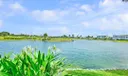 311 NE Golfview Circle Photo