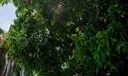 12840 SW 146th Ln Photo