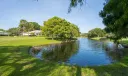 804 Silverleaf Oak Court Photo