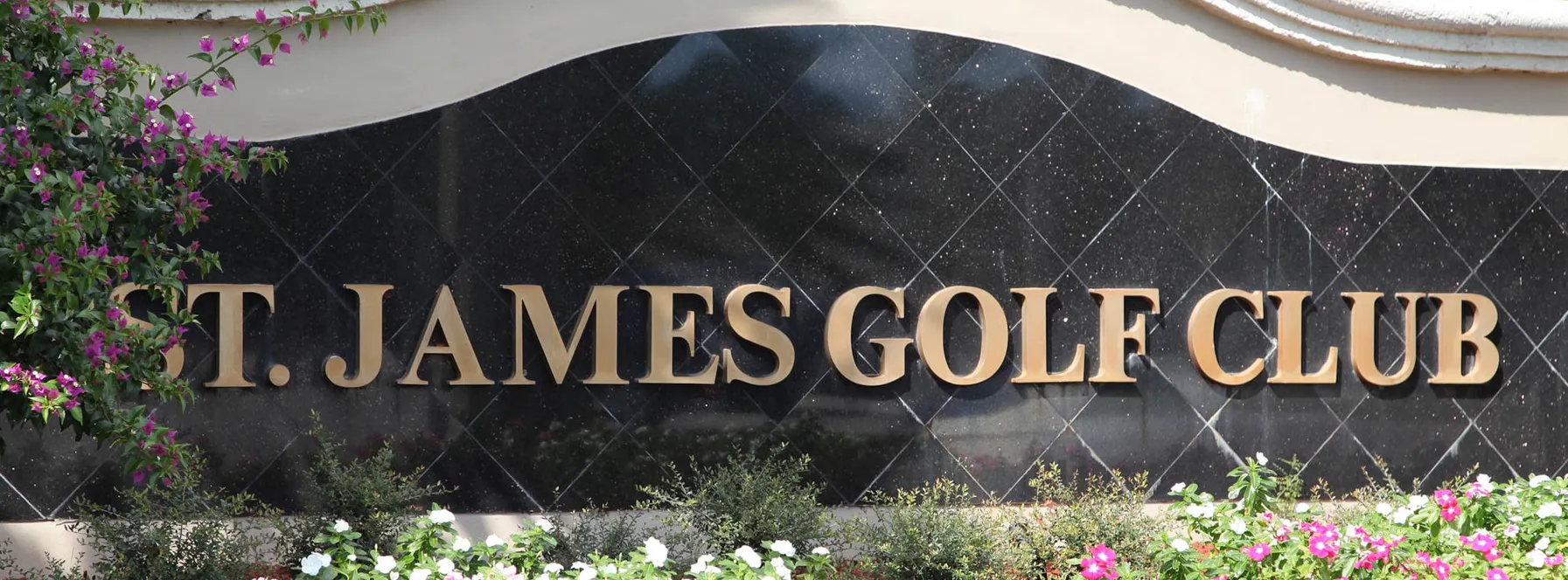 Homes Sold By Jeff Lichtenstein in St James Golf Club
