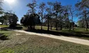 Golf view