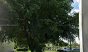 Hialeah Gardens Land Photo