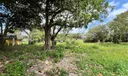 20650 Old Cutler Rd Photo