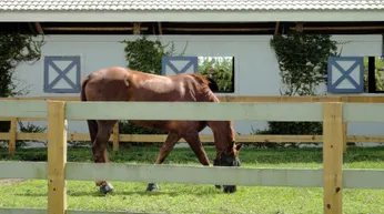 Isla Carroll Polo & Residences: Equestrian Living Planned for Wellington