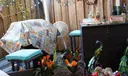 9837 W Okeechobee Road #506 Photo