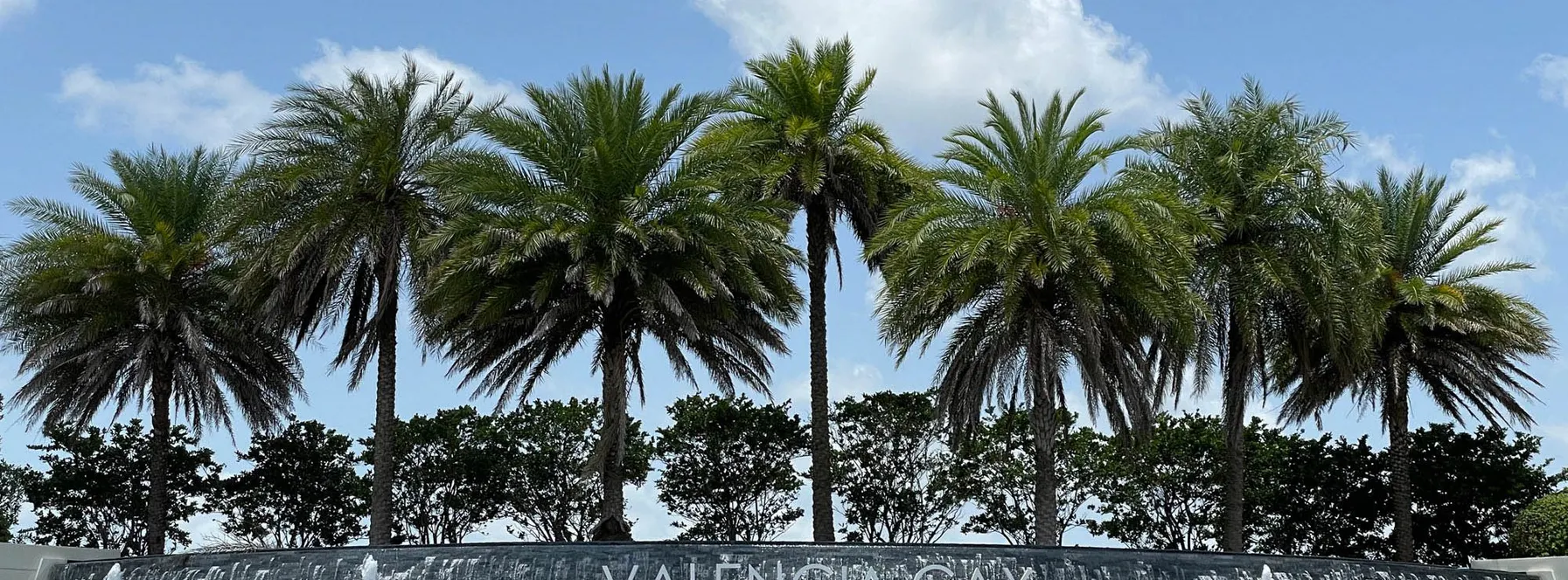 Homes Sold By Jeff Lichtenstein in Valencia Cay