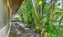 5155 Pine Drive Photo