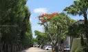 10822 N Kendall Dr #S14 Photo