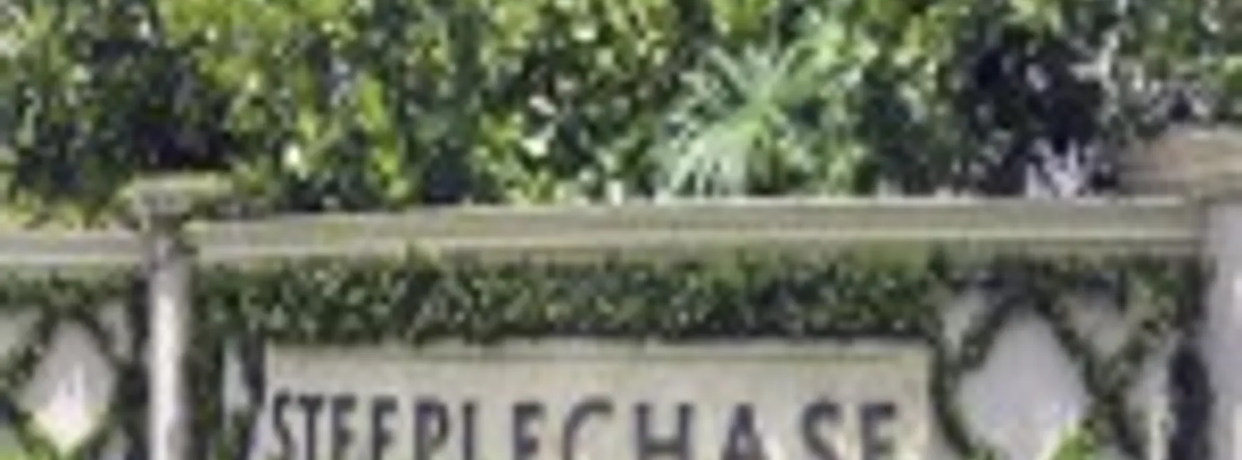 Steeplechase | Premiere Estate Home Community | Discover Spacious Living