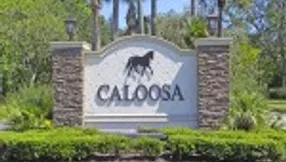 Caloosa | An Equestrian’s Dream | Jeff Lichtenstein