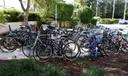 Bike rack