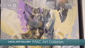 MAC Fine Art Galleries in Jupiter, Florida.