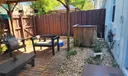 Back-yard