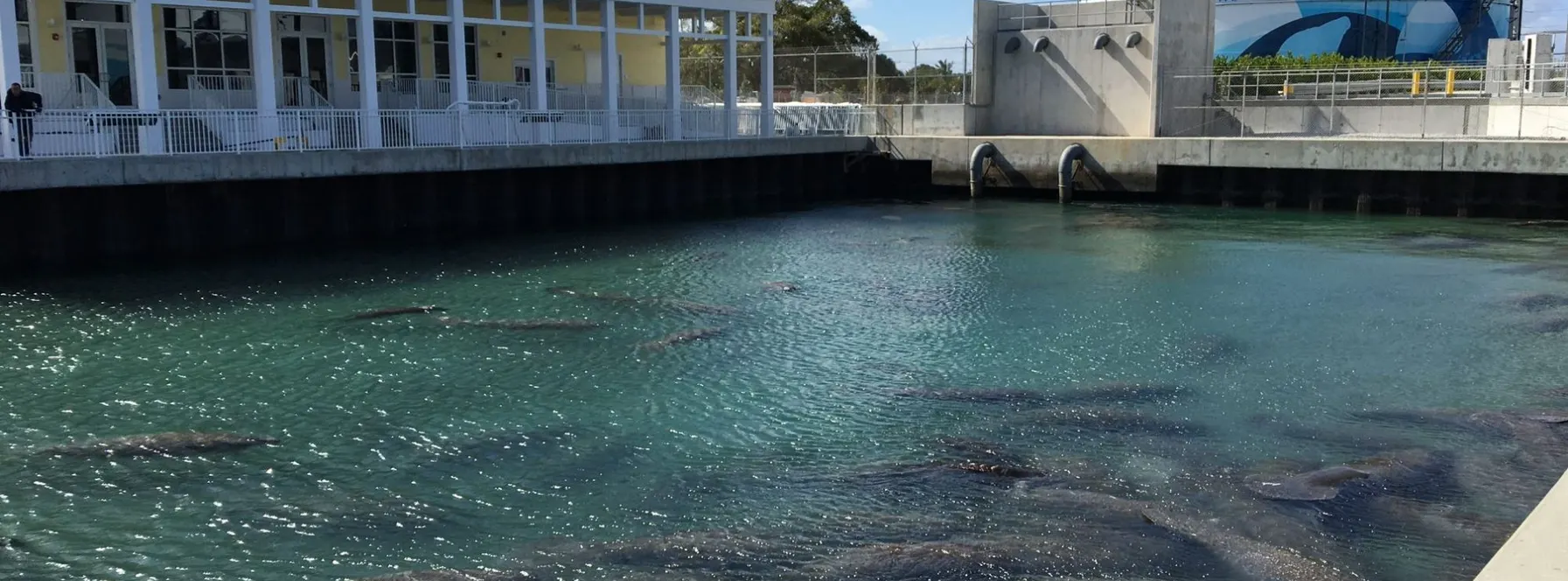 Manatee Lagoon | Echo Escapes