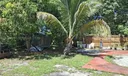 233 E 15th St Photo